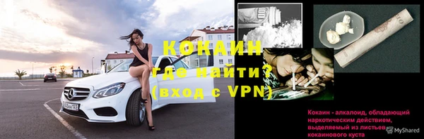 молекула духа Волоколамск