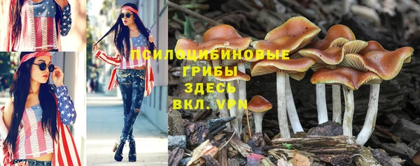 МДПВ Володарск