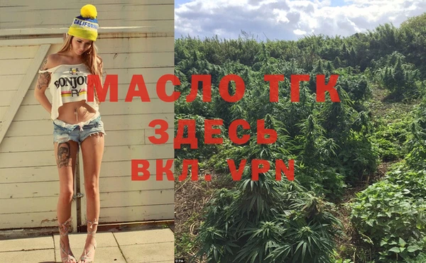 молекула духа Волоколамск