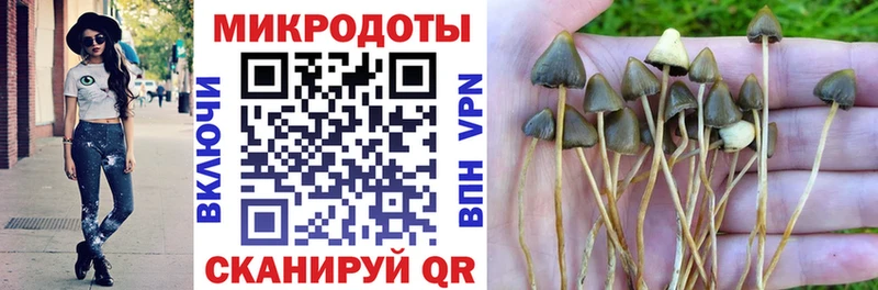 ОМГ ОМГ ССЫЛКА  Черногорск  Галлюциногенные грибы Cubensis 